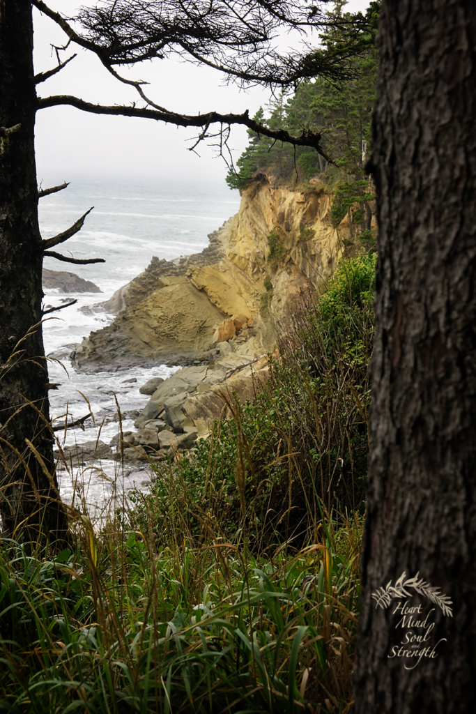 Scenic image framed by tree trunks and branches. Shore Acres State Park, Coos Bay, Oregon 