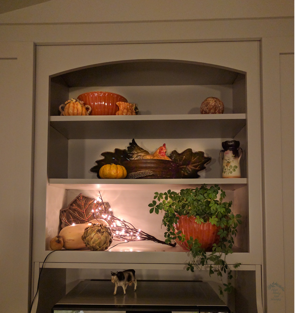 Kitchen shelves 