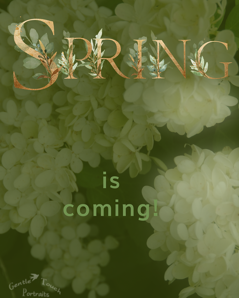 WEB Spring is coming