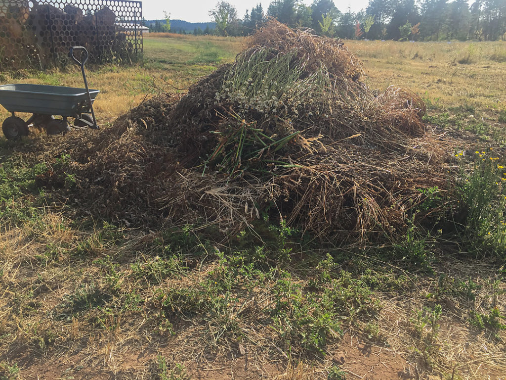 Our weed pile